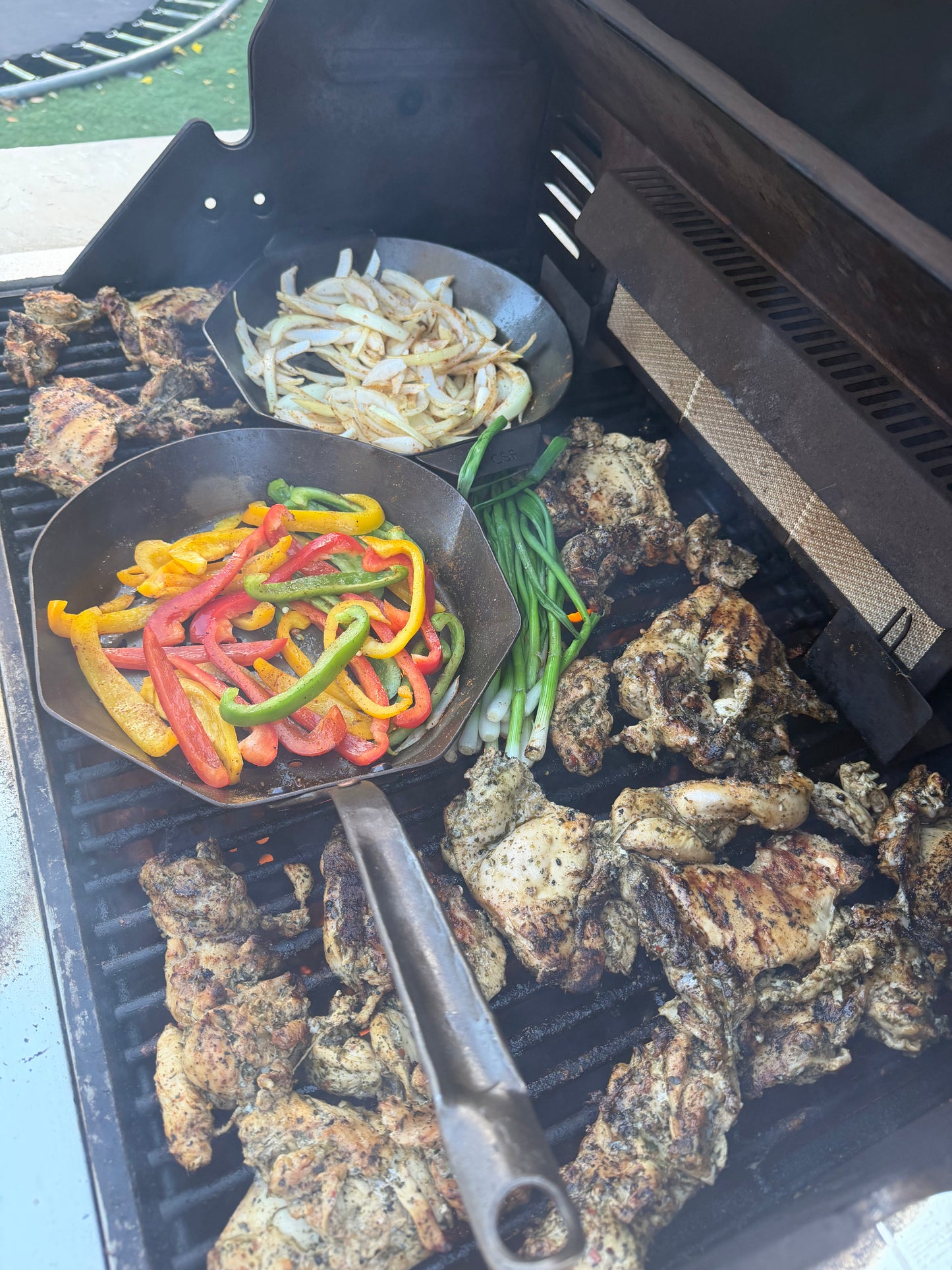 Artemis Grill Pan: Far Side of the Moon. 10" Carbon Steel