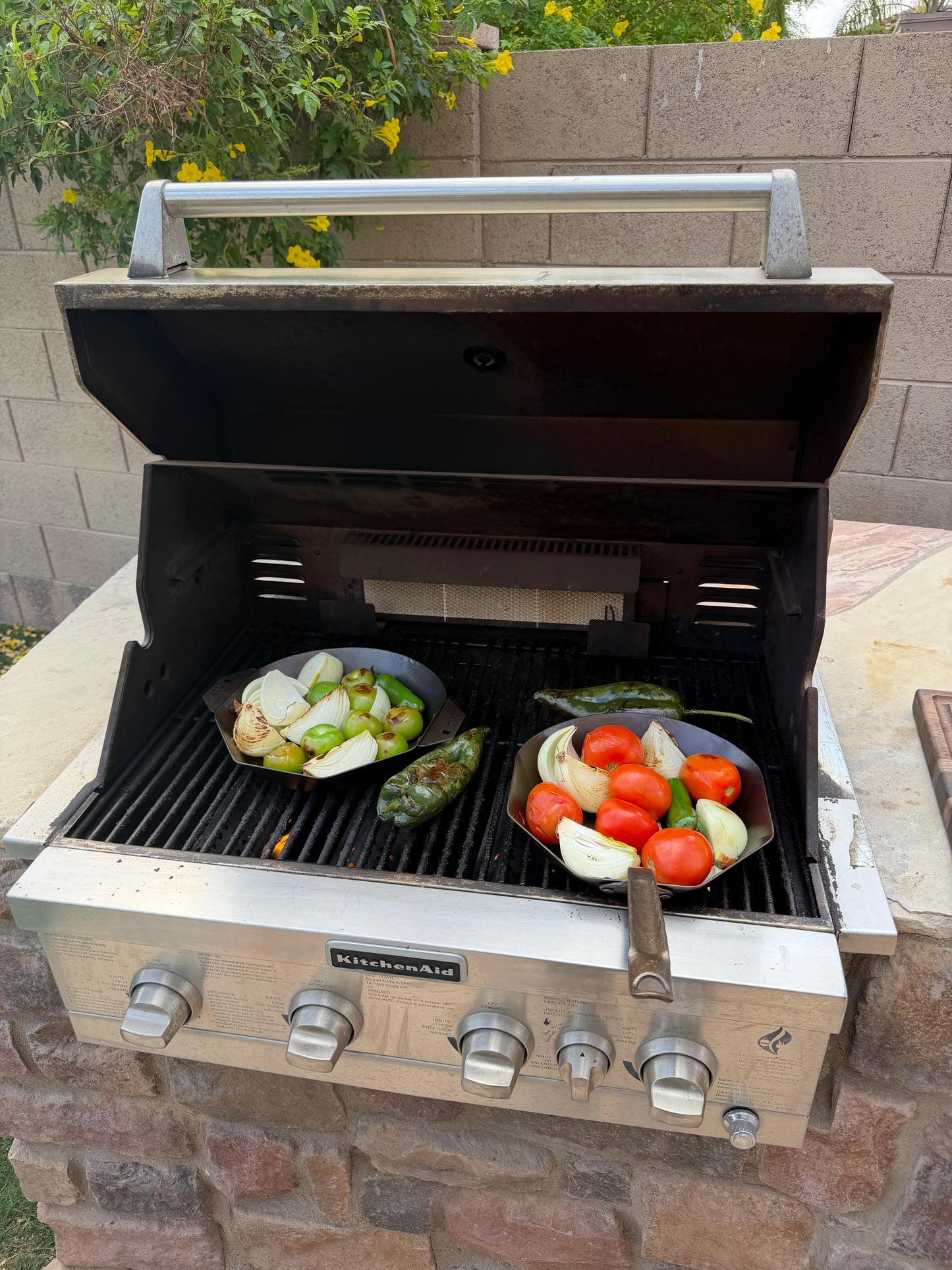 Artemis Grill Pan: Far Side of the Moon. 10" Carbon Steel